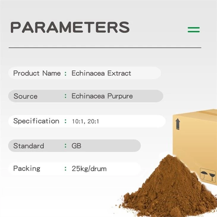 Bacopa Monniera Extract10%