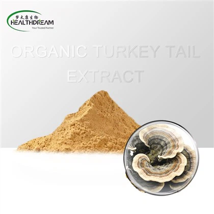 Organik Hindi Kuyruğu Ekstresi [Meyve Gövdesi